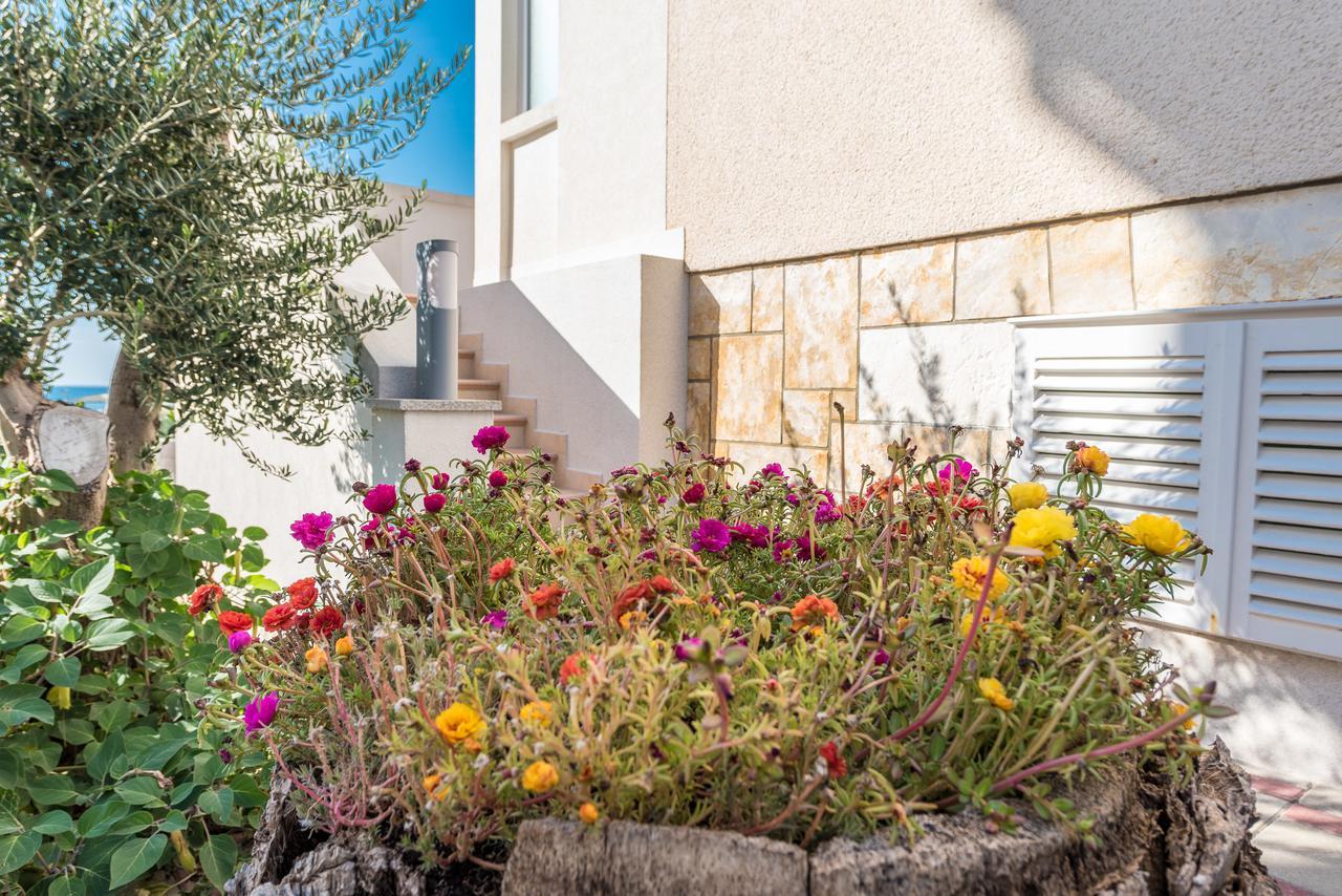 Villa Jurac Povljana Ngoại thất bức ảnh